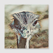 toony ostrich (Front)