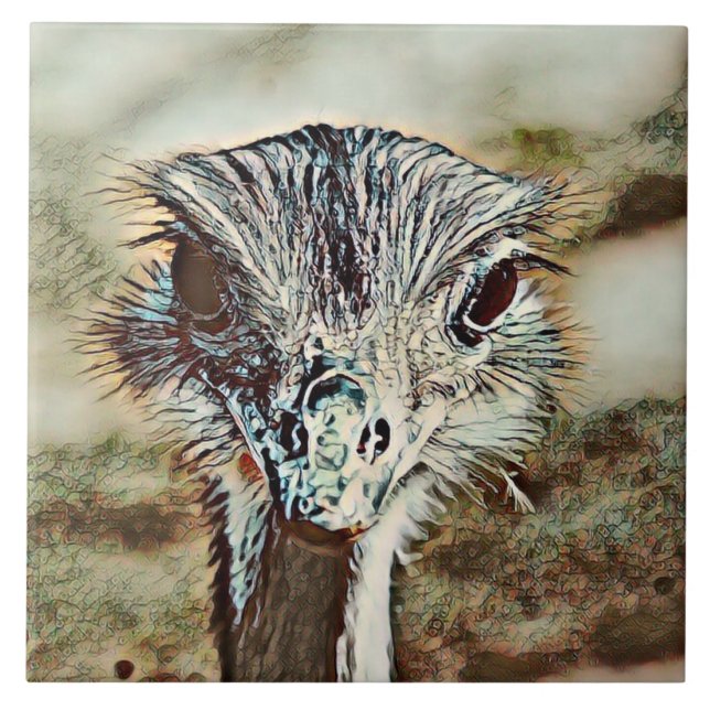 toony ostrich ceramic tile (Front)