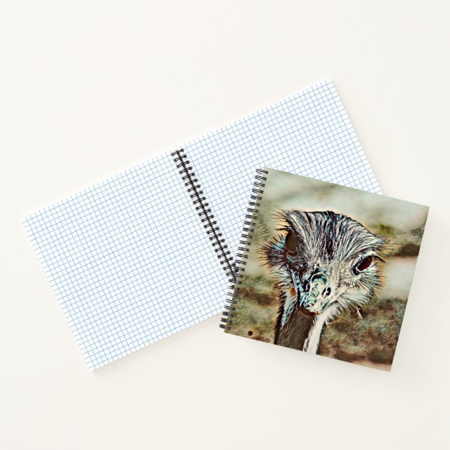 toony ostrich notebook (Inside)