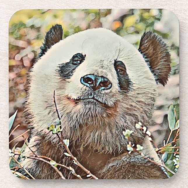 toony panda beverage coaster (Front)