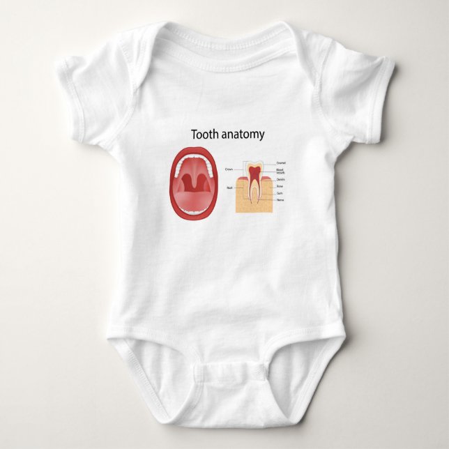 Tooth anatomy baby bodysuit (Front)
