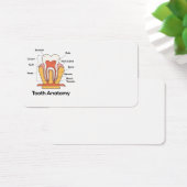 Tooth Anatomy Chart (Desk)