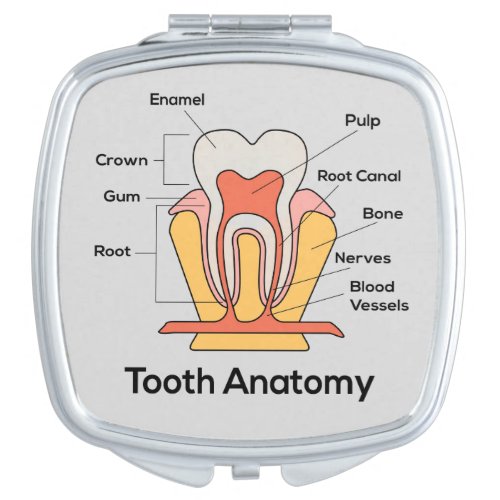 Tooth Anatomy Chart Makeup Mirror