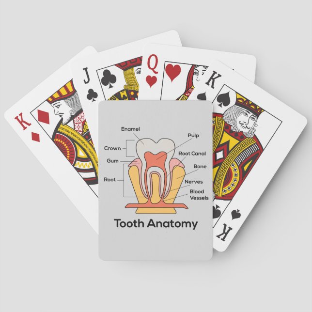 Tooth Anatomy Chart Poker Cards (Back)