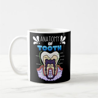 Tooth Anatomy Dentist Humor For Orthodontist Coffee Mug