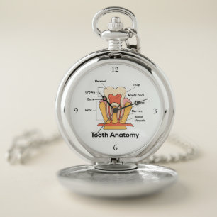 Tooth Anatomy Silver Pocket Watch