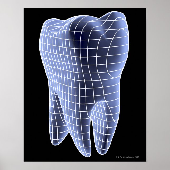 Tooth, computer artwork of a molar tooth poster (Front)