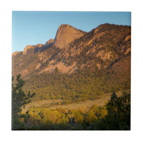Tooth Of Time Philmont Scout Ranch Cimarron Tile