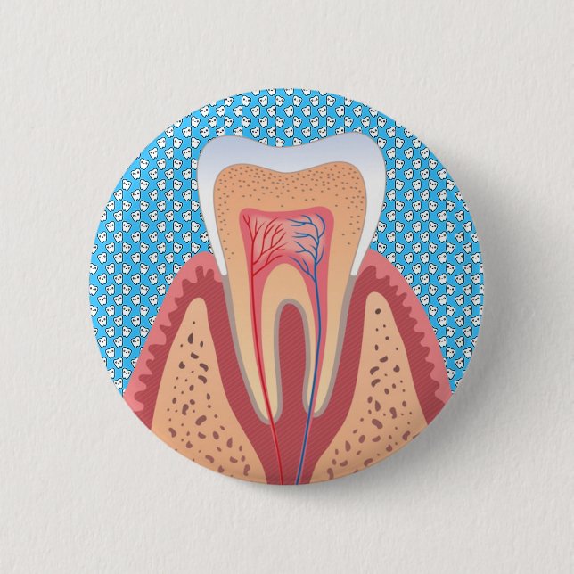 TOOTH STRUCTURE PINBACK BUTTON (Front)