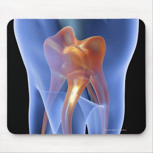 Tooth transparent cross section of a molar mouse pad