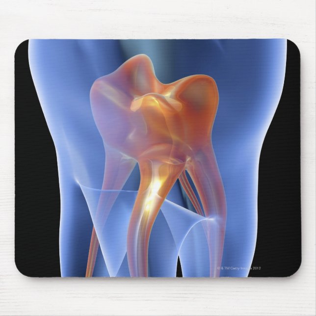 Tooth, transparent cross section of a molar mouse pad (Front)