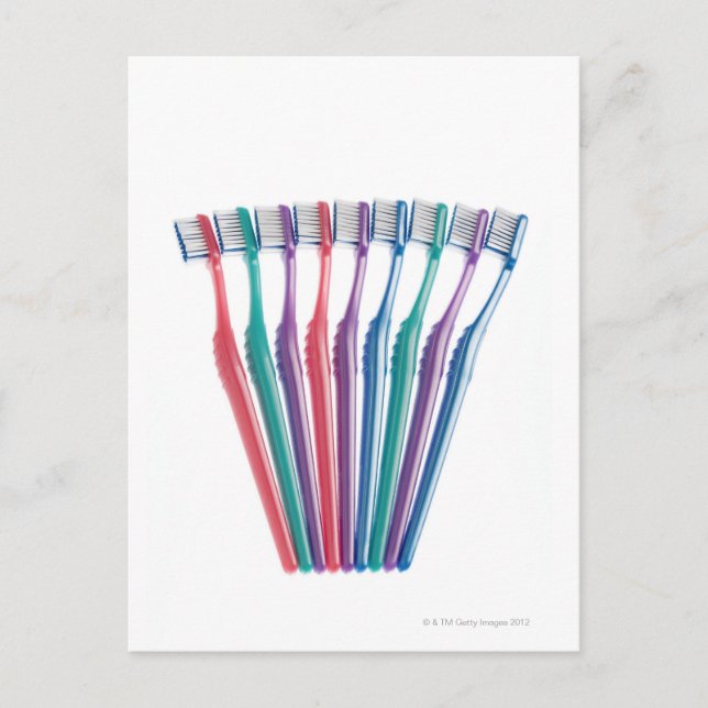 Toothbrushes Postcard (Front)