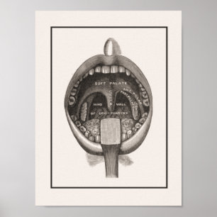 Toothbrushing Wall Poster