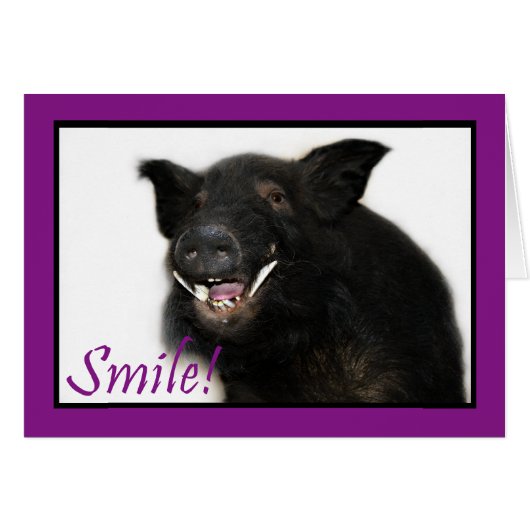 Toothy Hog Smile Cards (Front Horizontal)
