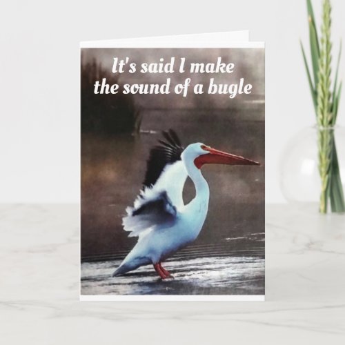 TOOTING MY HORN SAYS CRANE CONGRATULATIONS CARD