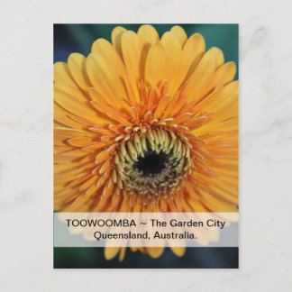 Toowoomba The Garden City Postcard