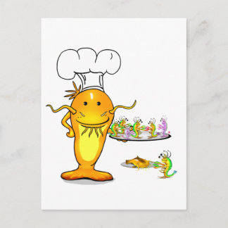 Top Chef Catfish Postcard