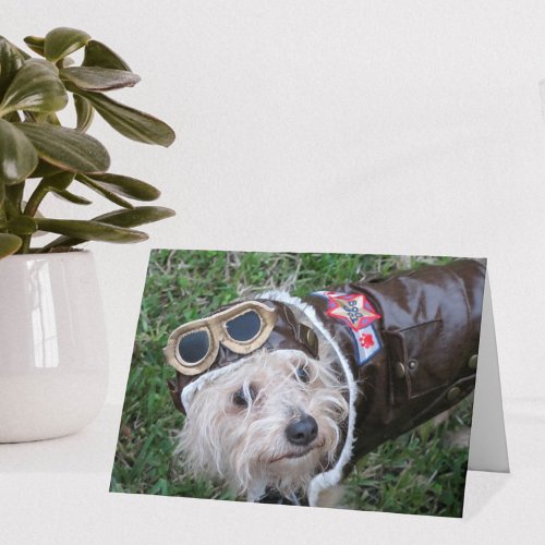 Top Dog in Aviators Costume Note Card