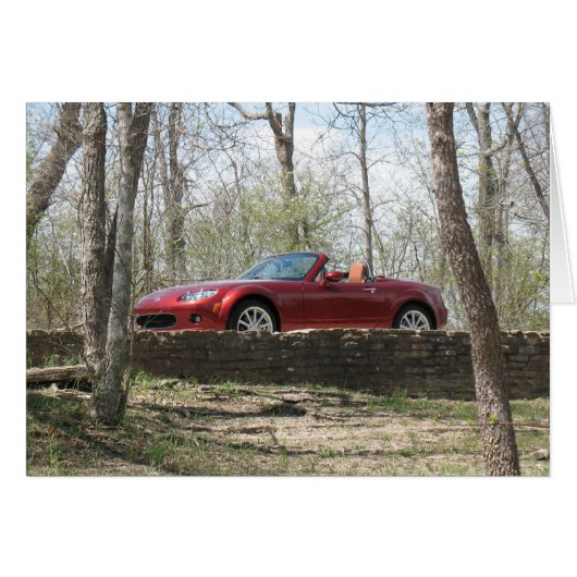 Top Down! (Front Horizontal)