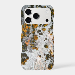 Top-down View Snowy Winter Forest iPhone 17 Pro Case