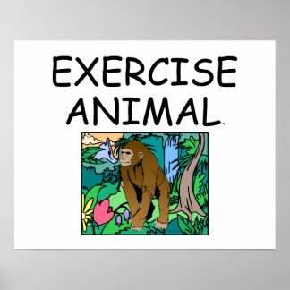 TOP Exercise Animal Poster
