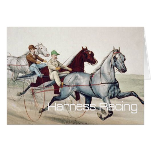 TOP Harness Racing Cards (Front Horizontal)