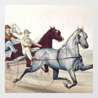 TOP Harness Racing Floor Decals