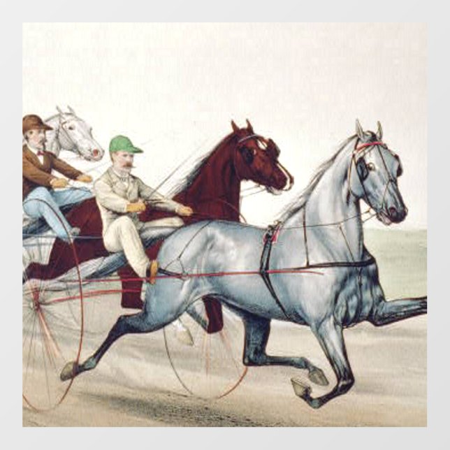TOP Harness Racing Floor Decals (Front)