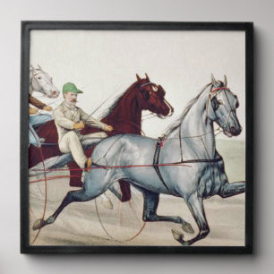 TOP Harness Racing Peel And Stick Photo Tile