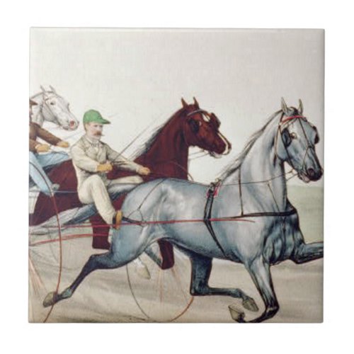 TOP Harness Racing Tile