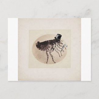 Top Hat and Cane Flea Postcard