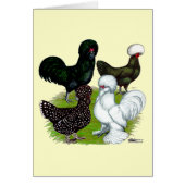 Top Hat Chicken Quartet (Front)
