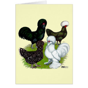 Top Hat Chicken Quartet Cards