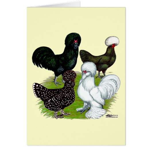 Top Hat Chicken Quartet Cards (Front)