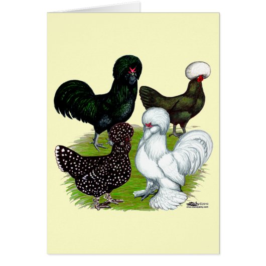 Top Hat Chicken Quartet Cards (Front)