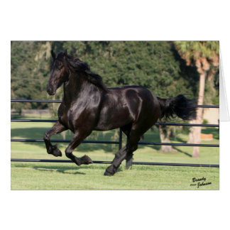 Top Hat Friesians Cards