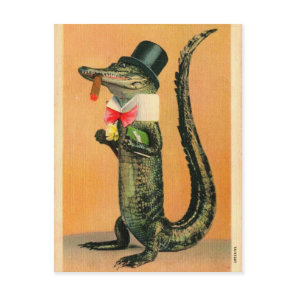 Top Hat Gator Postcard