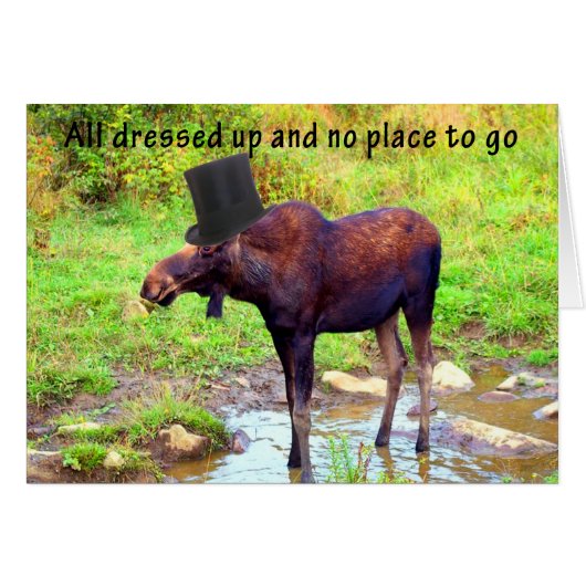 Top Hat Moose Cards (Front Horizontal)