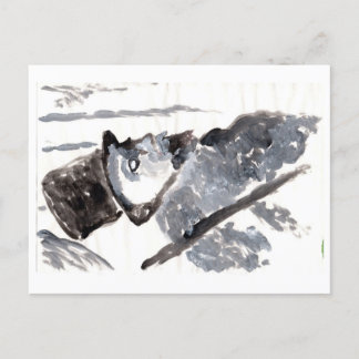 Top-hatted gentleman in black and gray postcard