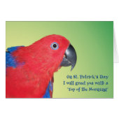 Top of the Morning (Front Horizontal)