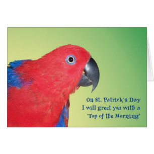 Top of the Morning Cards