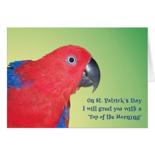 Top of the Morning Cards (Front Horizontal)