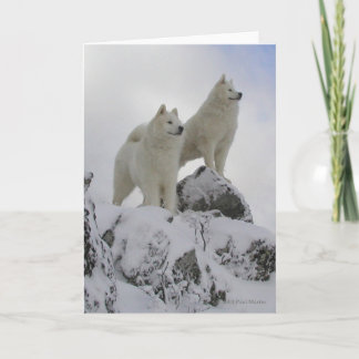 "Top Of The World" Greeting Card