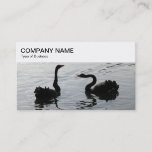 Top Panel - Black Swans Greeting Business Card