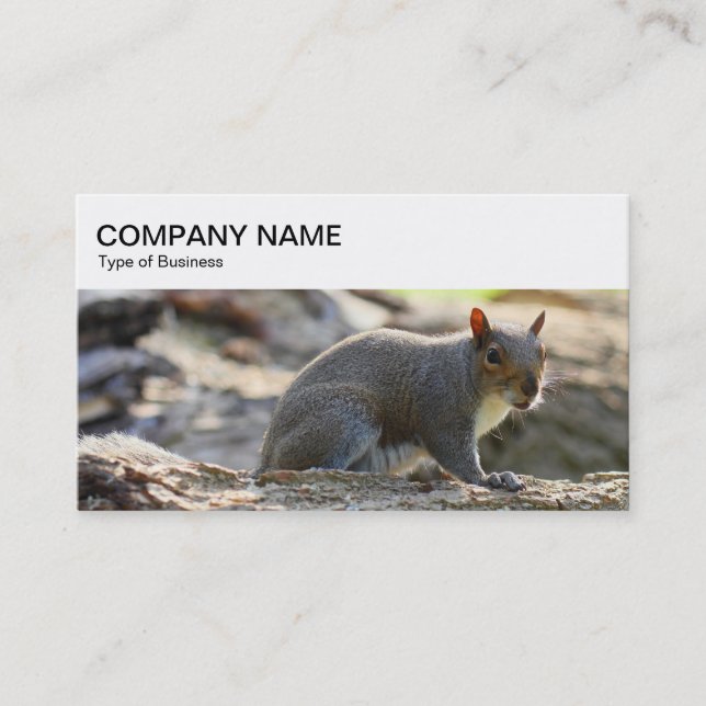 Top Panel - Gray Squirrel Business Card (Front)