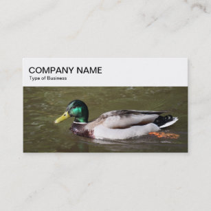 Top Panel - Mallard Duck Business Card