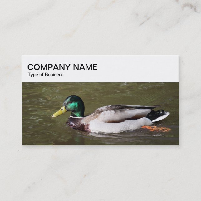 Top Panel - Mallard Duck Business Card (Front)