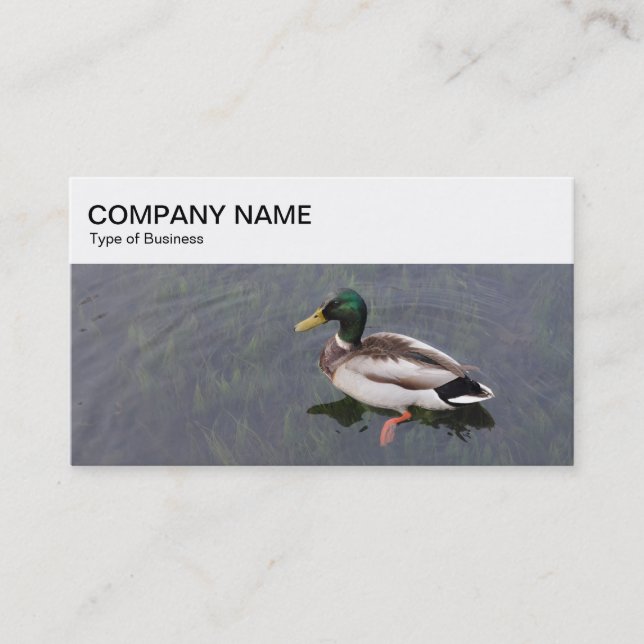 Top Panel - Mallard Duck Business Card (Front)