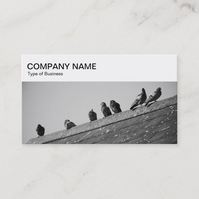 Top Panel - Pigeons on a Roof Business Card (Front)