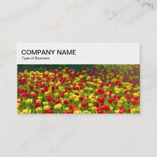Top Panel _ Red and Yellow Tulips 03 Business Card